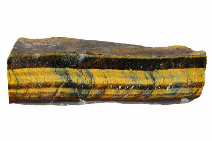 Polished Tiger's Eye Section - South Africa #148295